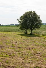 Between Woubrugge and Hoogmade / Polder Oudendijk 01