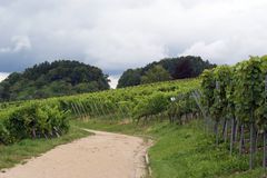 Beurener Weinbergweg