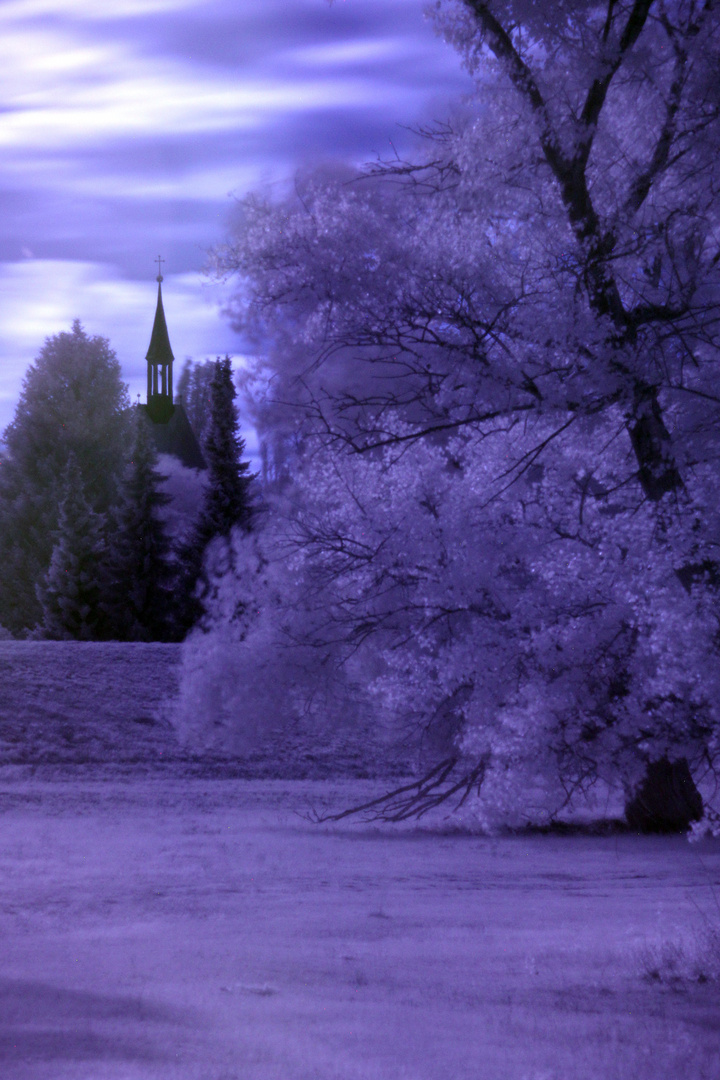 Beuster im Schnee :)