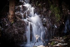 Beutbachfalls