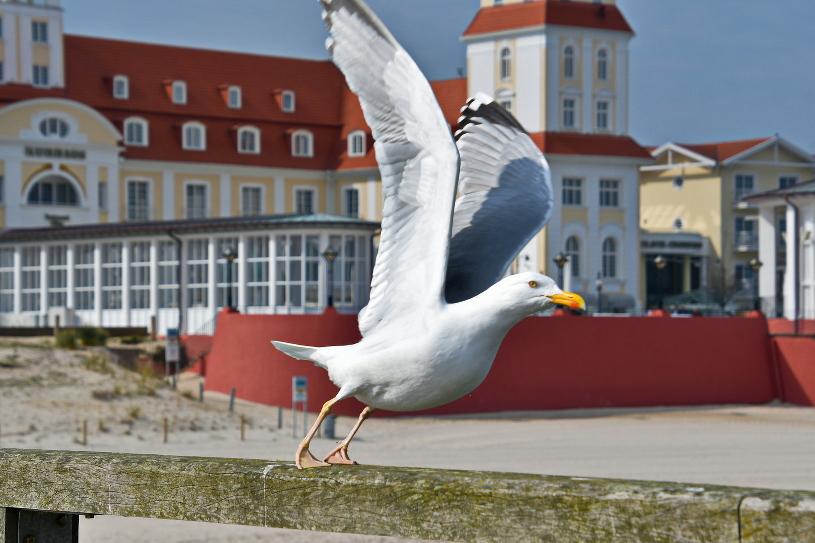 Beute erspäht - Angriff... 