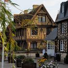 Beuvrons-en-Auge, Pays d'Auge in der Normandie