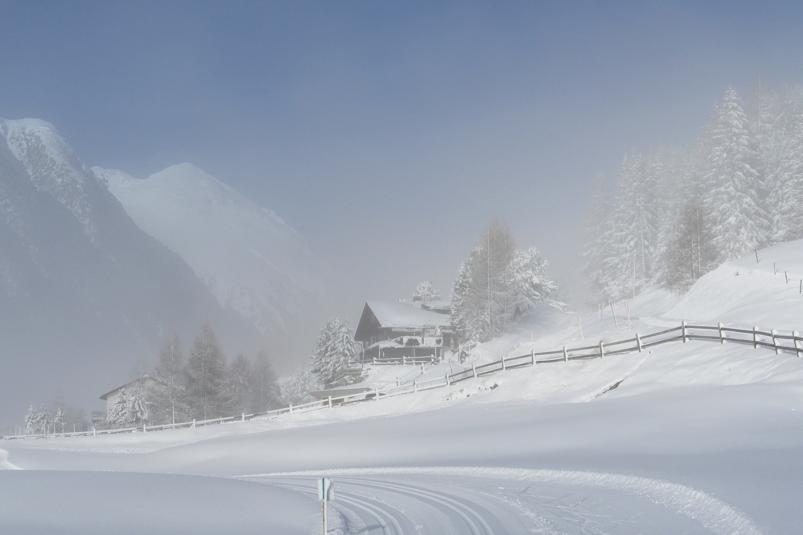 Bever im Nebel 1 