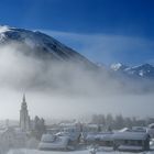 Bever im Nebel 4