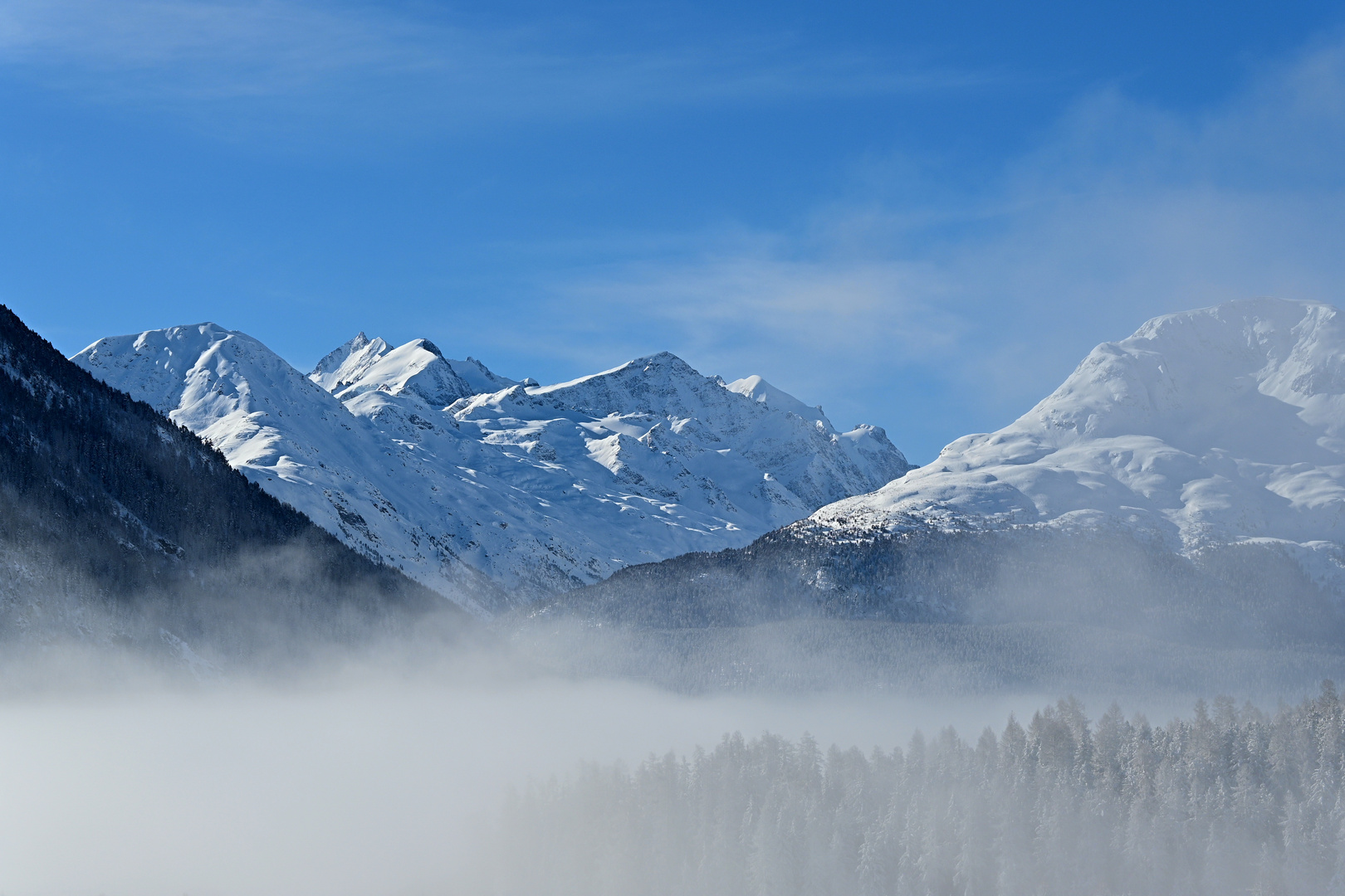 Bever im Nebel 5