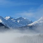 Bever im Nebel 5