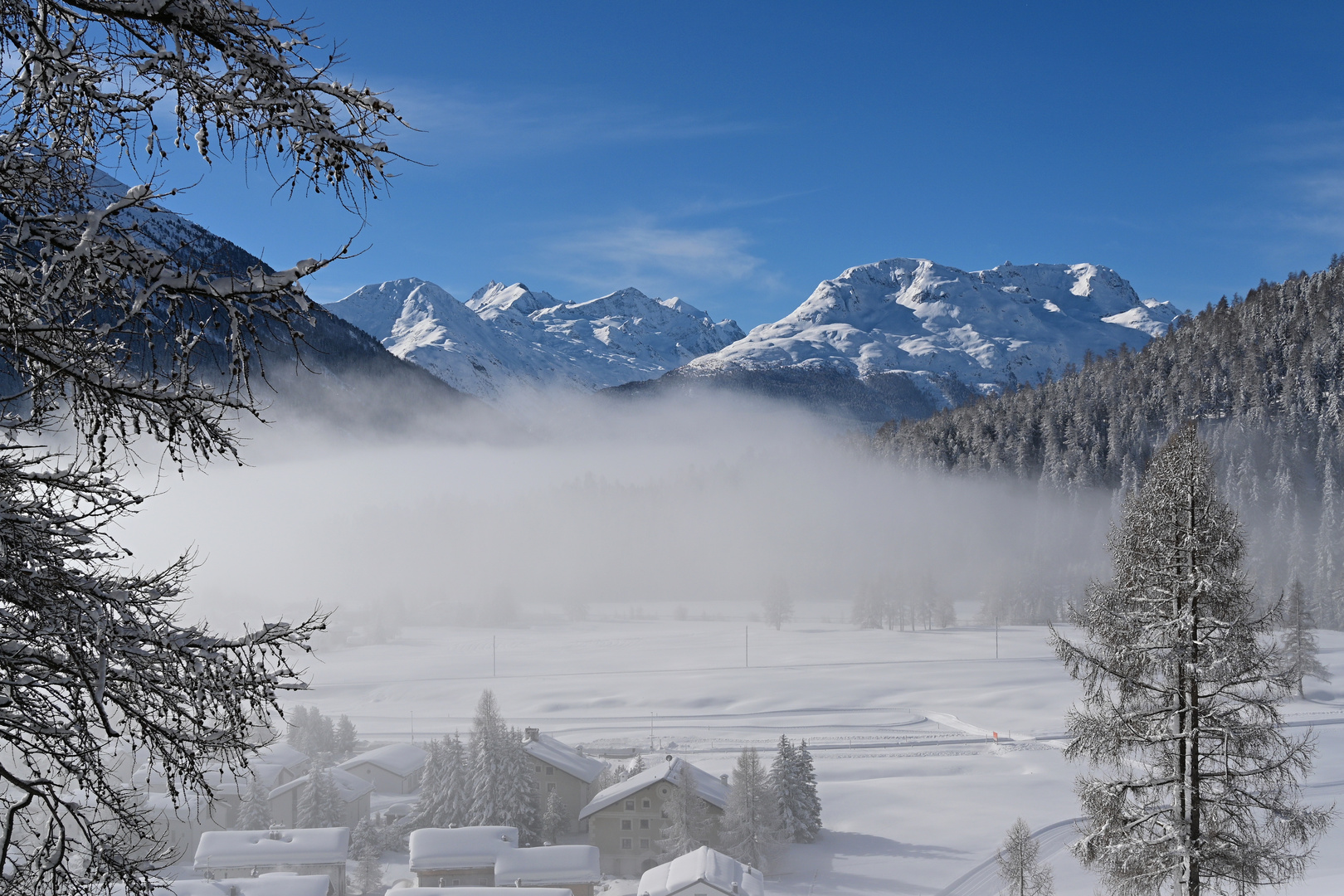 Bever im Nebel 6