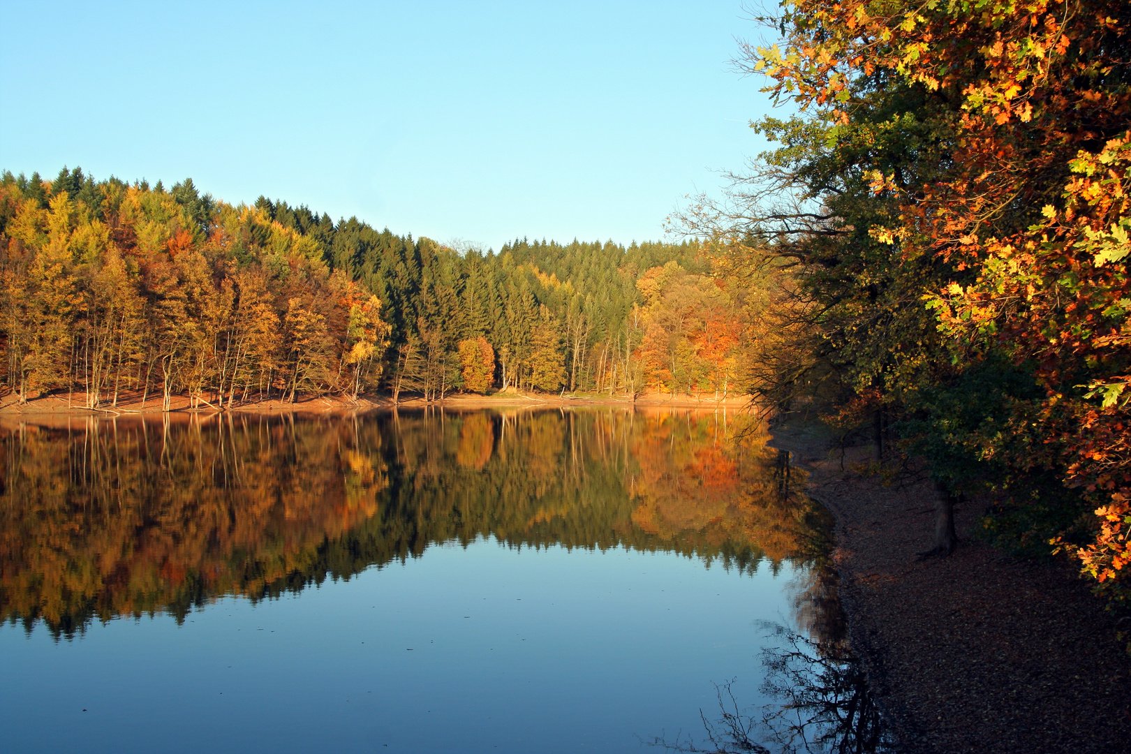 bever talsperre im herbst