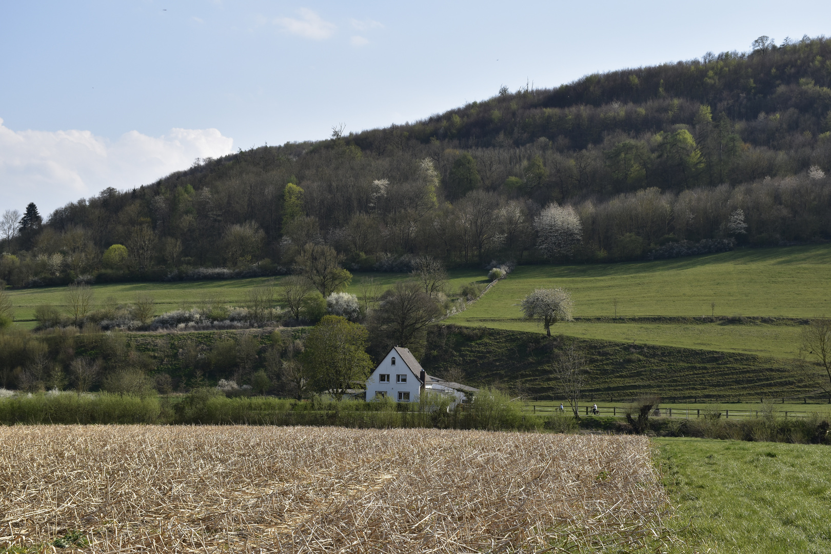 Beverungen im April 2020