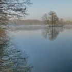 Bevölkerungsschutzhund genießt die Ruhe am See