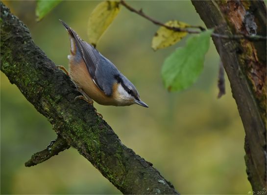 Bevor bei uns die Regenzeit begann ...