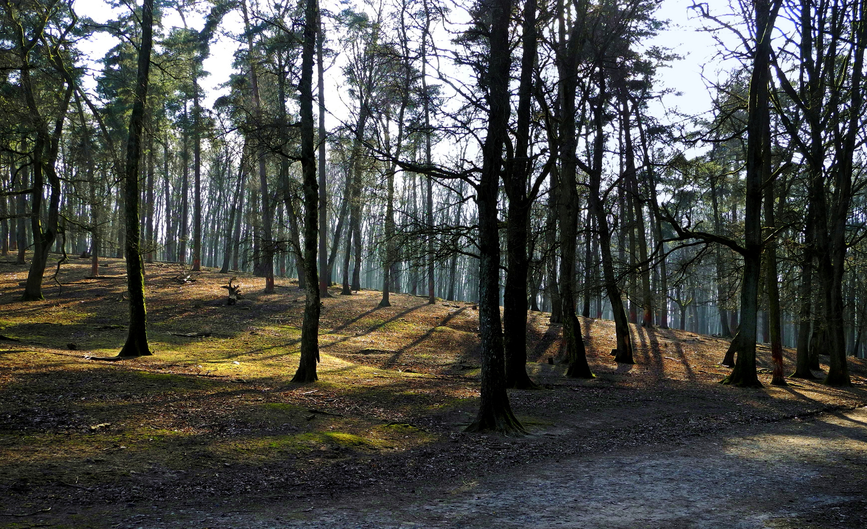 Bevor der Frühling kommt