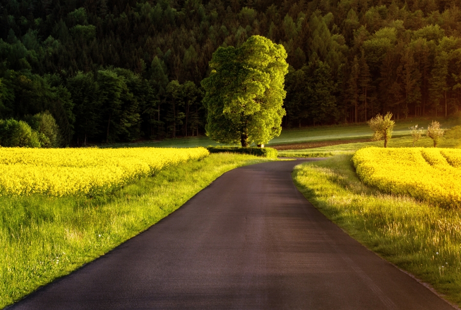 bevor der heiße Sommer kam