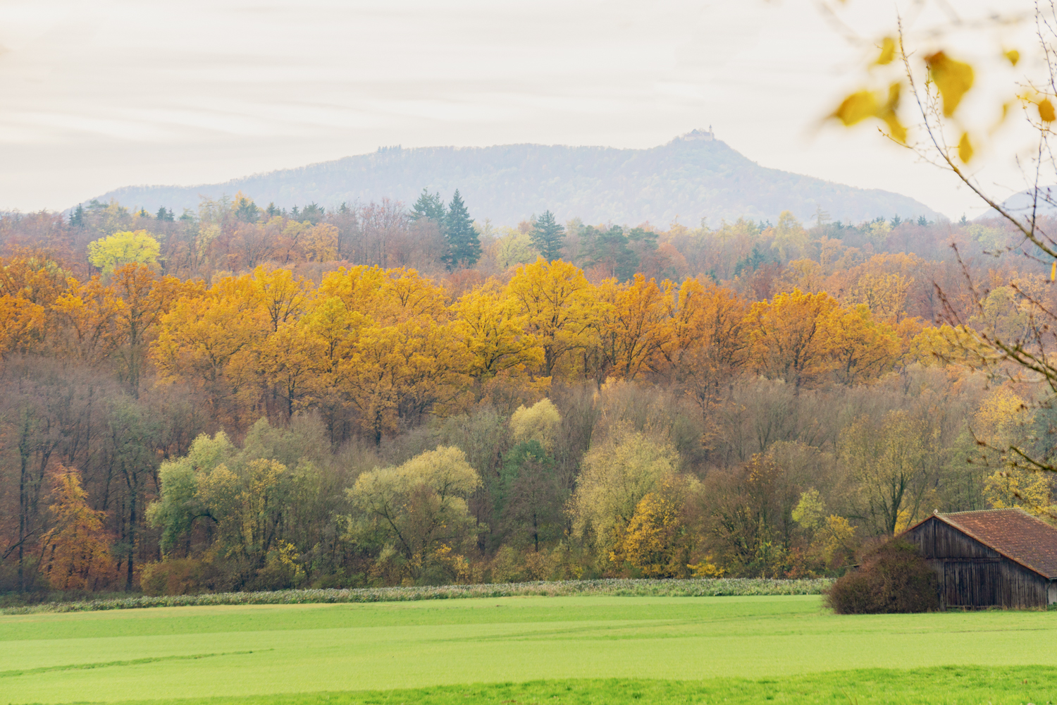 Bevor der Herbstwind