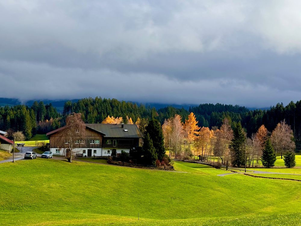 Bevor der Schnee kam