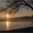 Bevor der Schnee kam ...