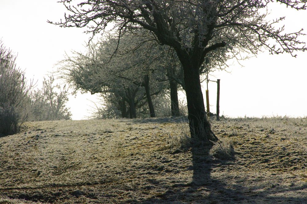 Bevor der Schnee kam....