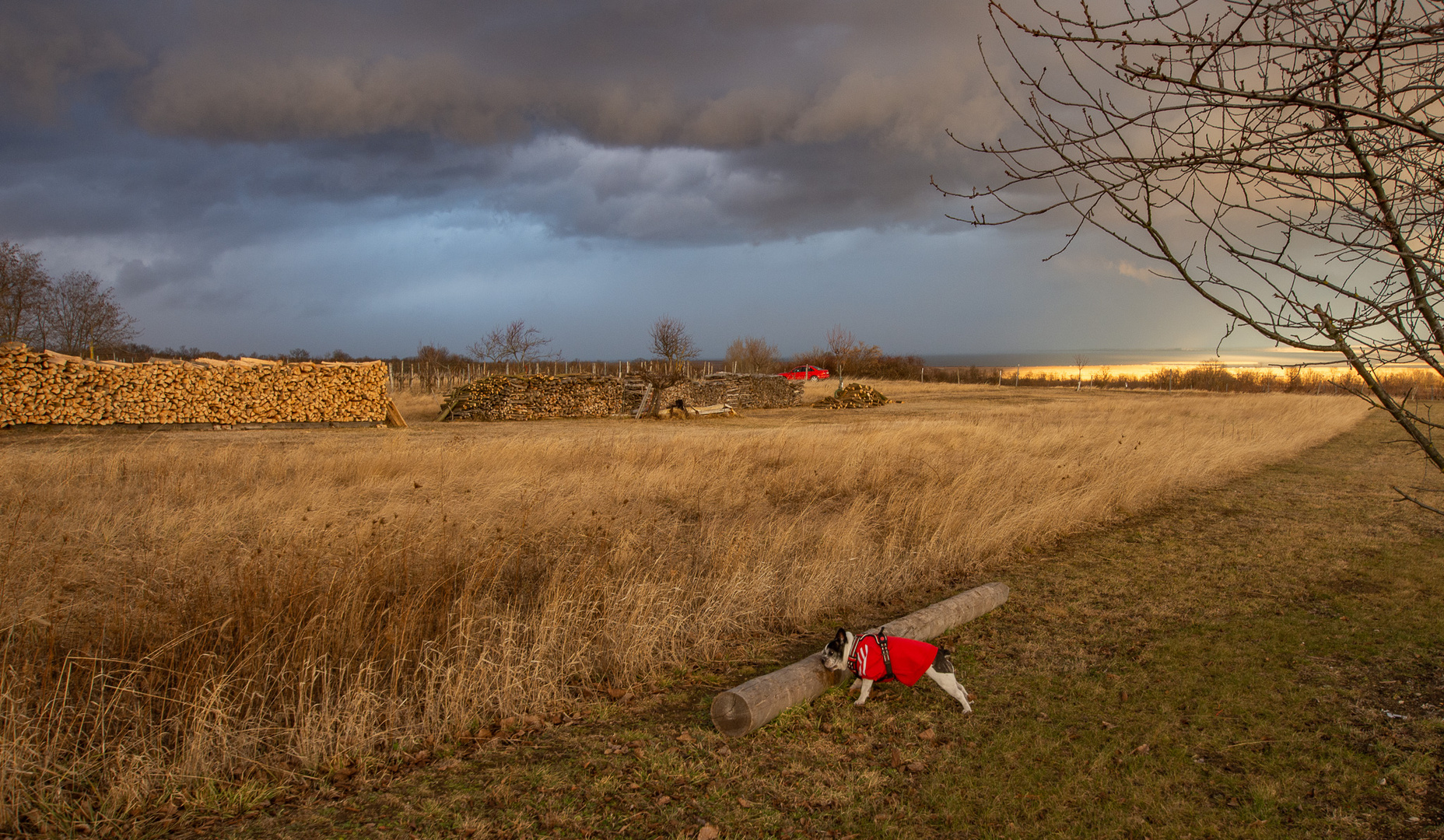 Bevor der Schnee kam