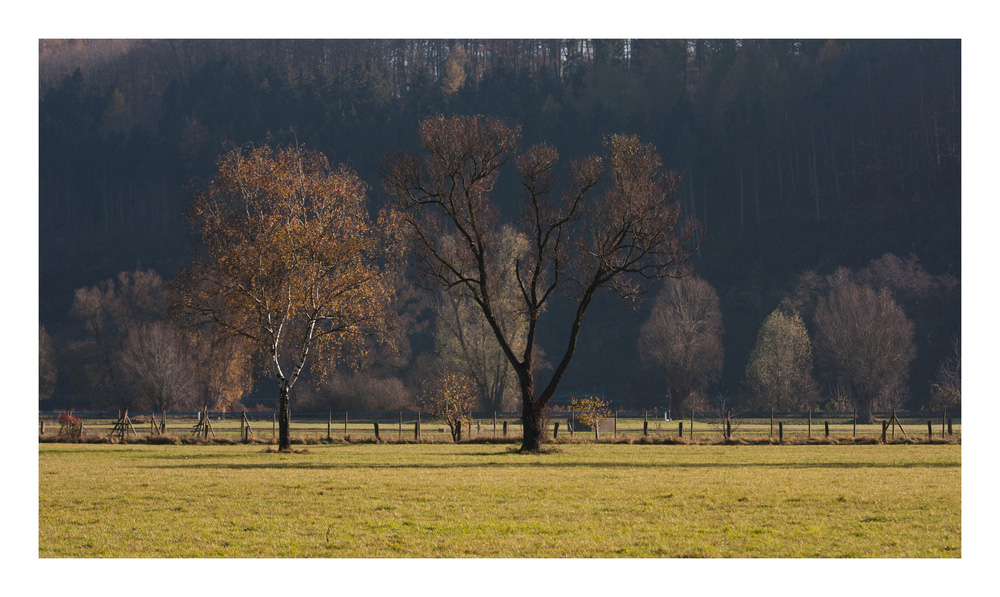 Bevor der Schnee kommt...