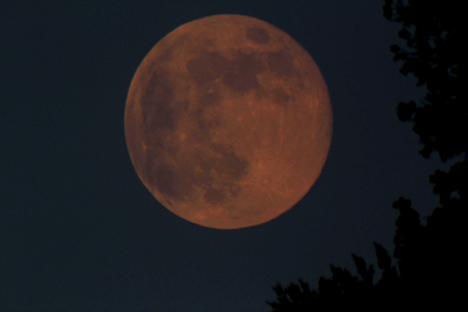 Bevor der Vollmond schlafen geht