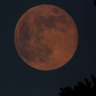 Bevor der Vollmond schlafen geht