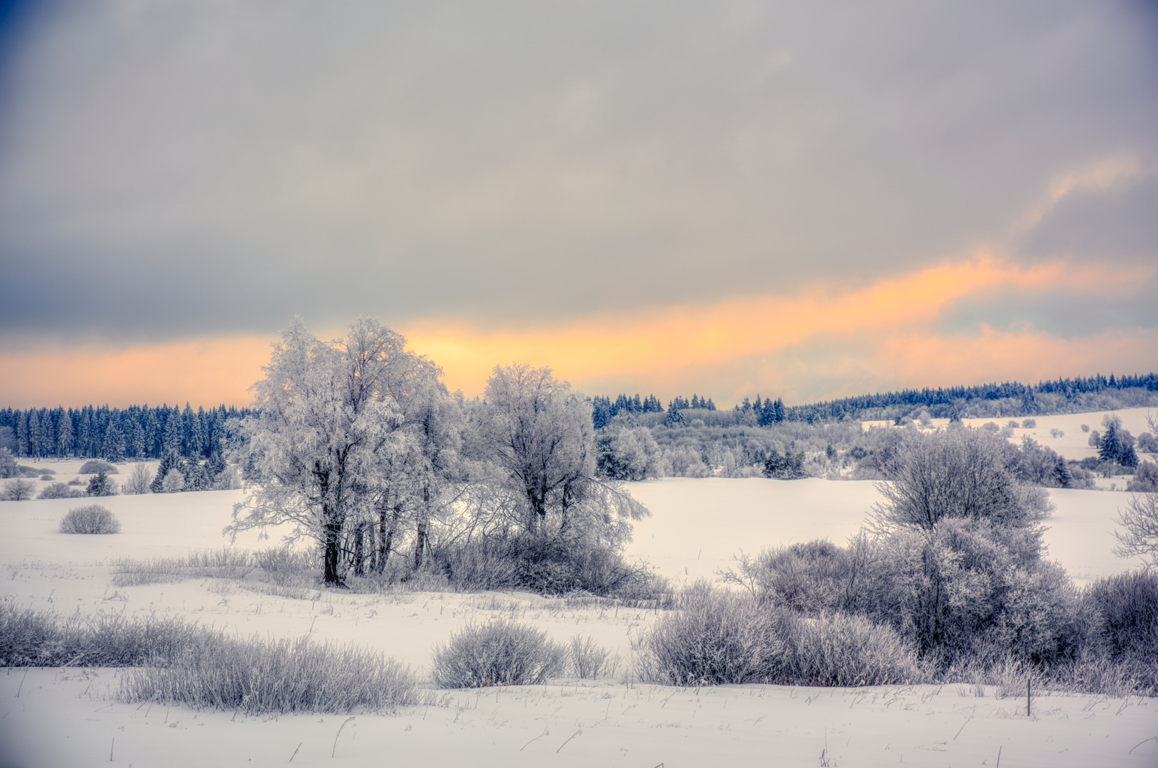 bevor der Winter wirklich geht (1)