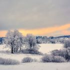 bevor der Winter wirklich geht (1)