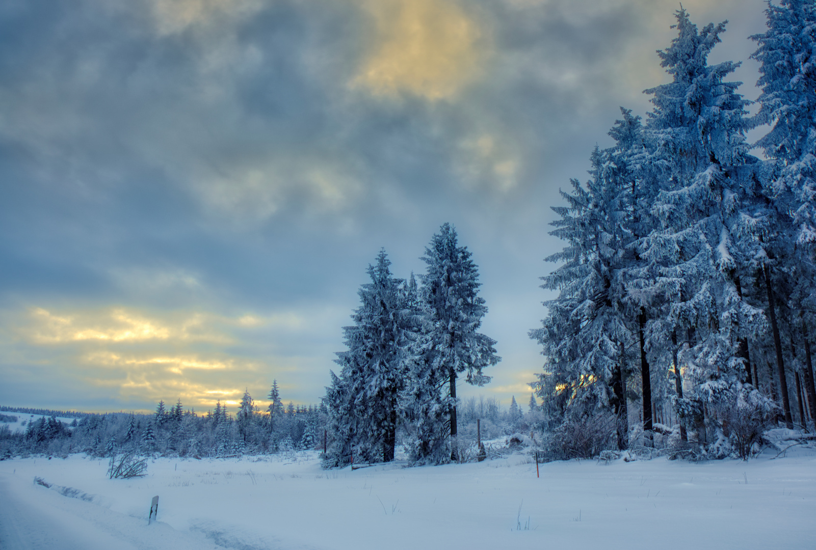 bevor der Winter wirklich geht (4)