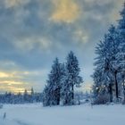 bevor der Winter wirklich geht (4)