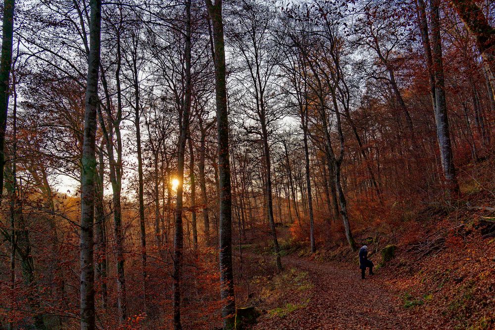 bevor die Farben ganz verschwinden