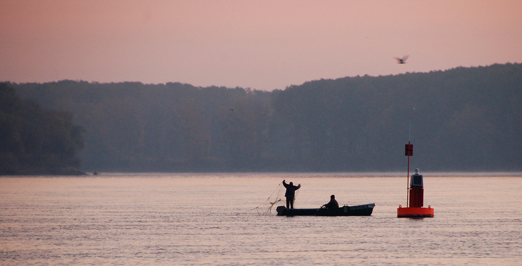 Bevor die Fische munter werden