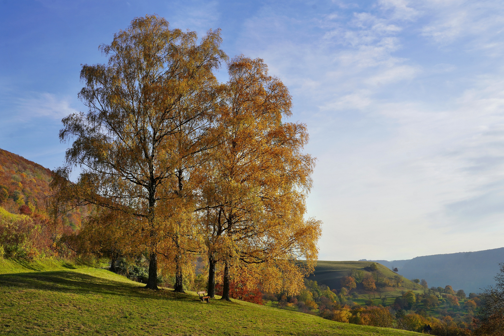 Bevor die letzten Blätter fallen