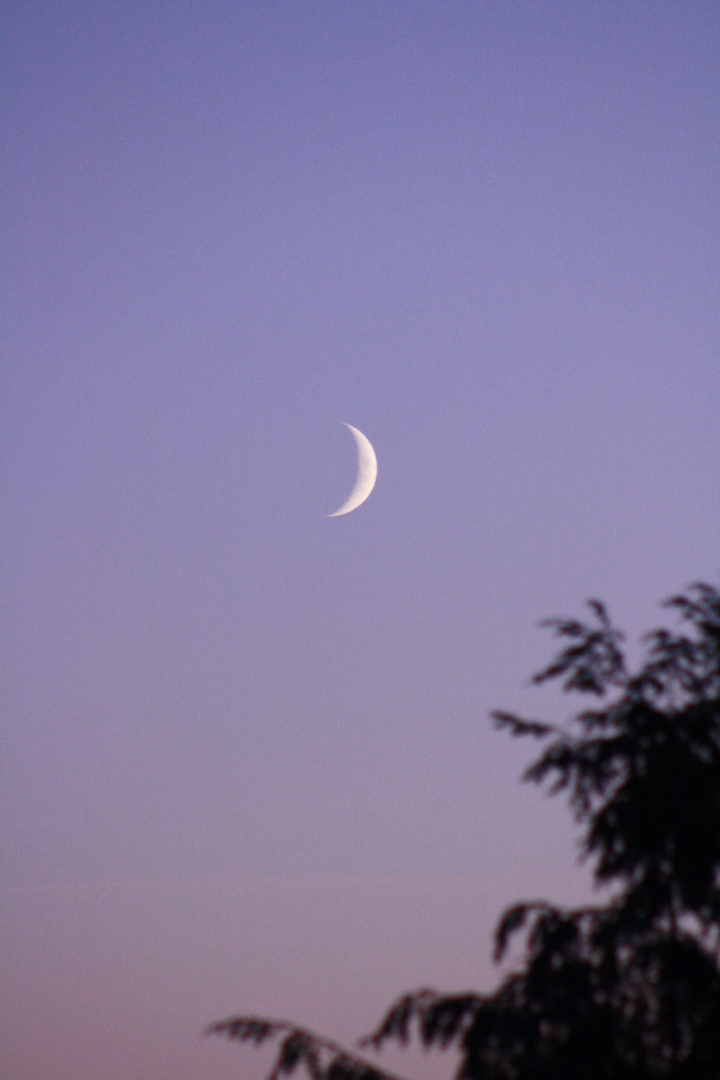 bevor die Nacht kommt