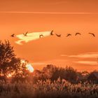 bevor die Sonne ganz untergeht