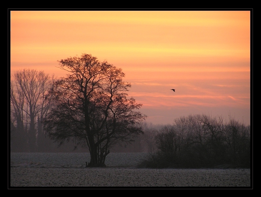 Bevor die Sonne kommt