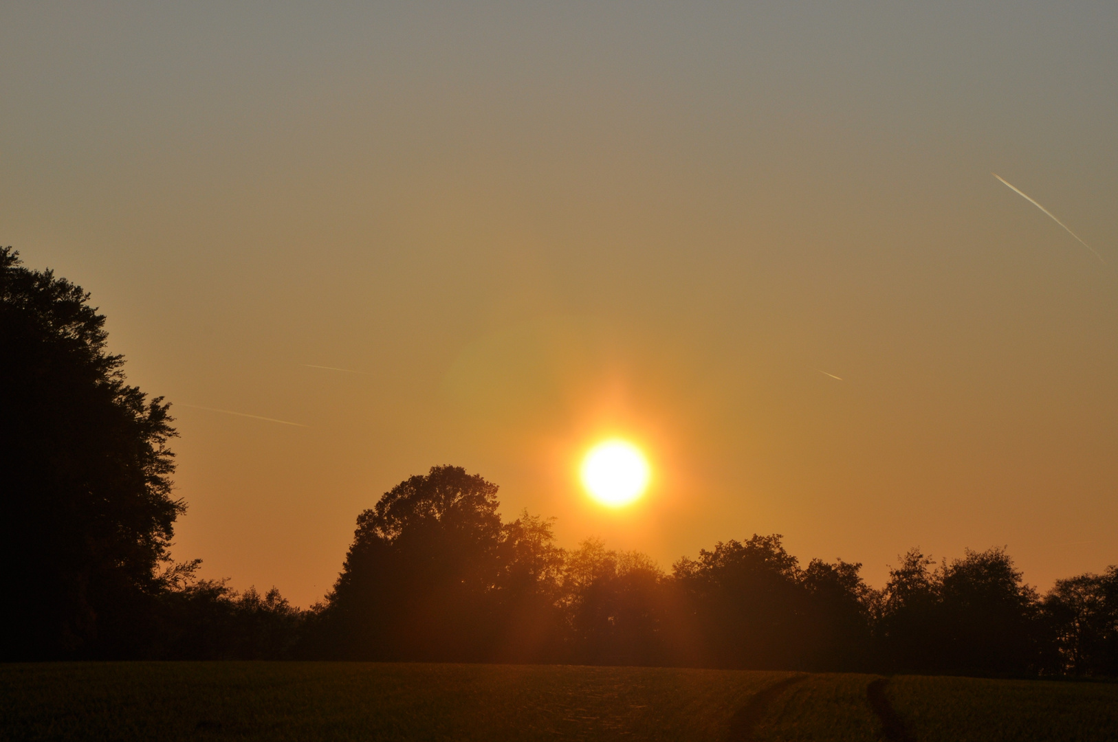 Bevor die Sonne untergeht