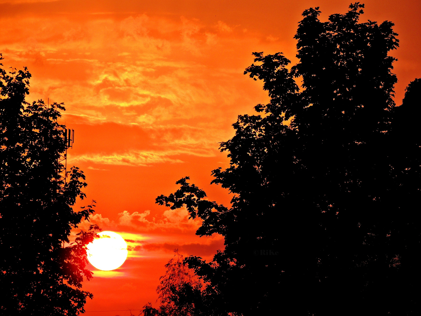 Bevor die Sonne untergeht