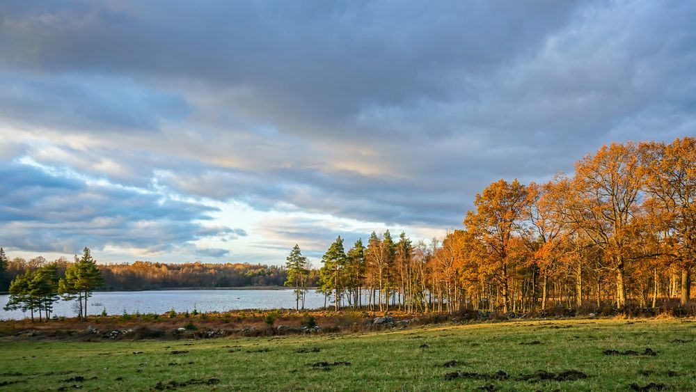 Bevor die Sonne untergeht