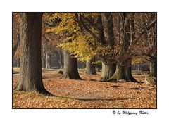 Bevor die Winterbilder kommen....