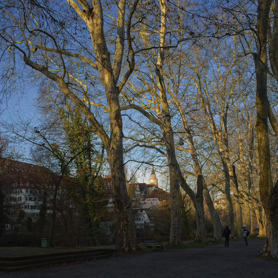 bevor es dunkel wird