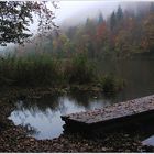 Bevor es dunkel wurde an meinem Waldweiher...