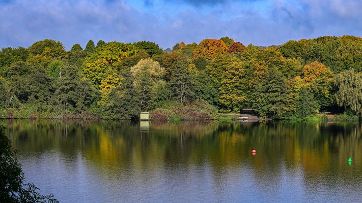 Bevor es ganz vorbei ist