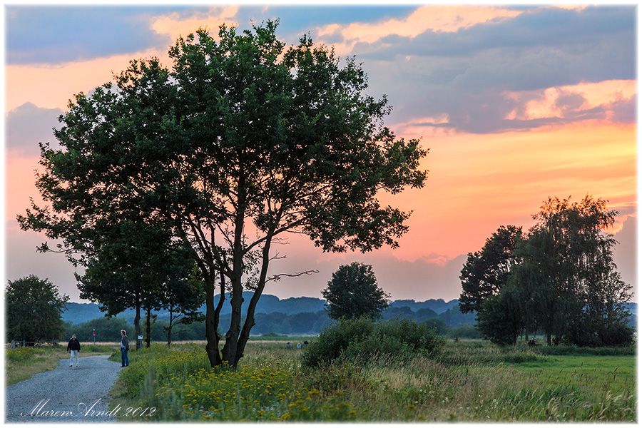 Bevor es Nacht wird an der Hamme