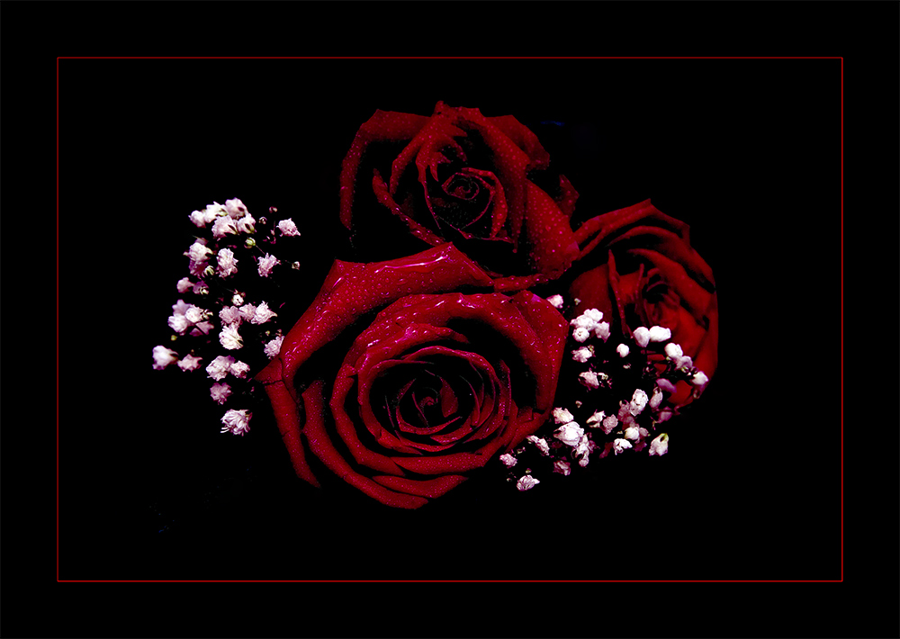 ...bevor Sie verblühen...