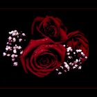 ...bevor Sie verblühen...