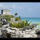 Bewacher von Tulum 1