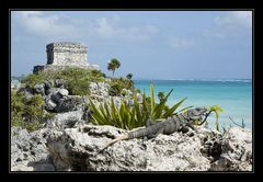 Bewacher von Tulum 1