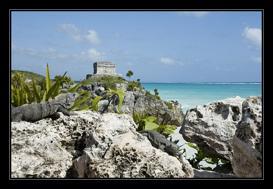 Bewacher von Tulum 2