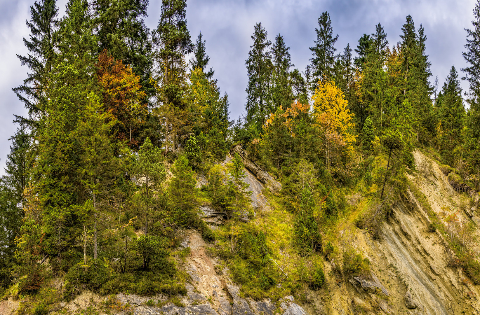 Bewachsener Berg