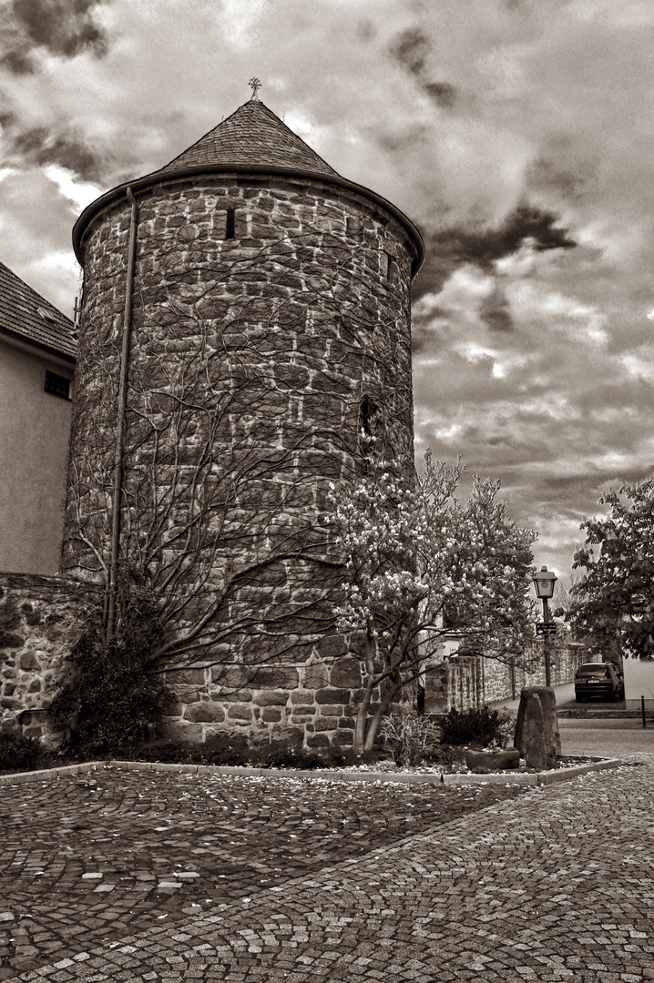 bewachsener Turm der Stadtmauer